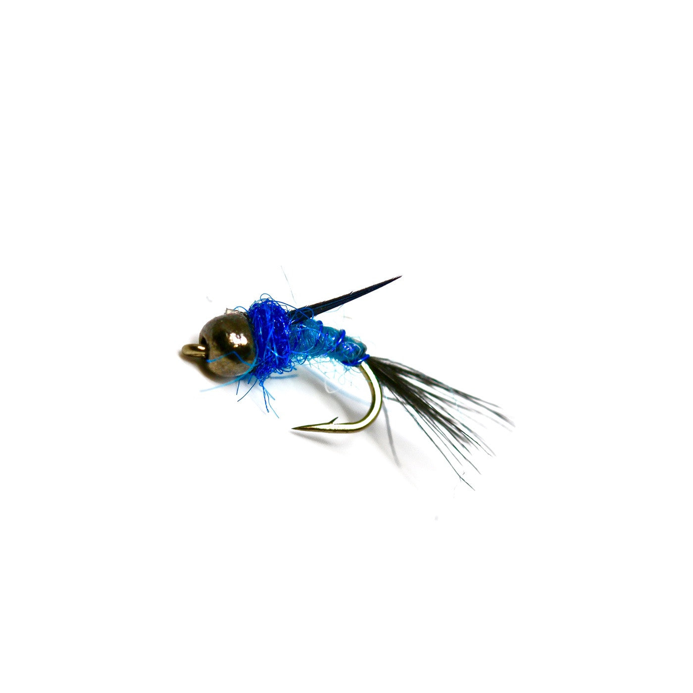 TB Blue Weevil Nymph