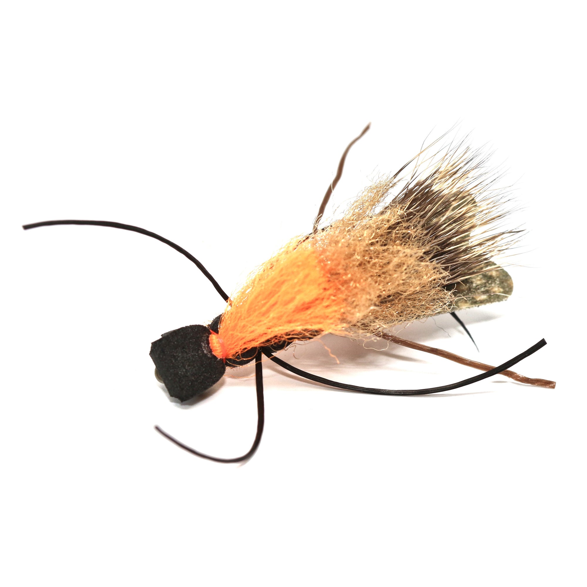 Christensen's Salmonfly