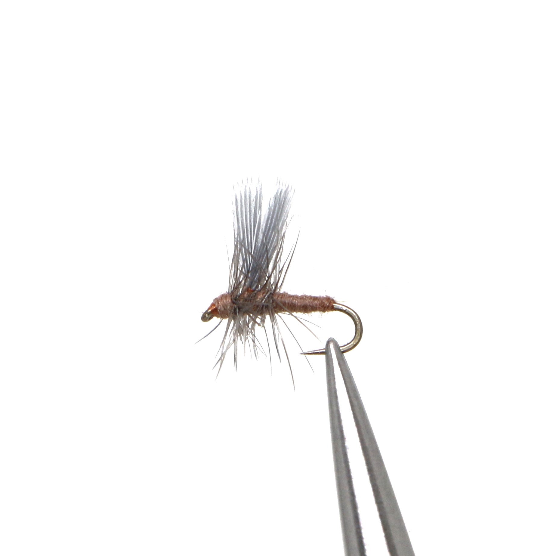 March Brown Thorax